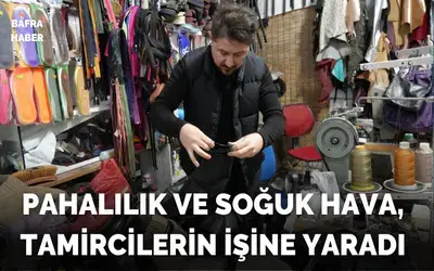 Pahalılık Ve Soğuk Hava, Tamircilerin İşine Yaradı