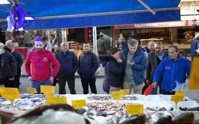 Karadeniz’in incisi hamsi, palamudun tacını geri aldı: Tezgahın gözdesi hamsi
