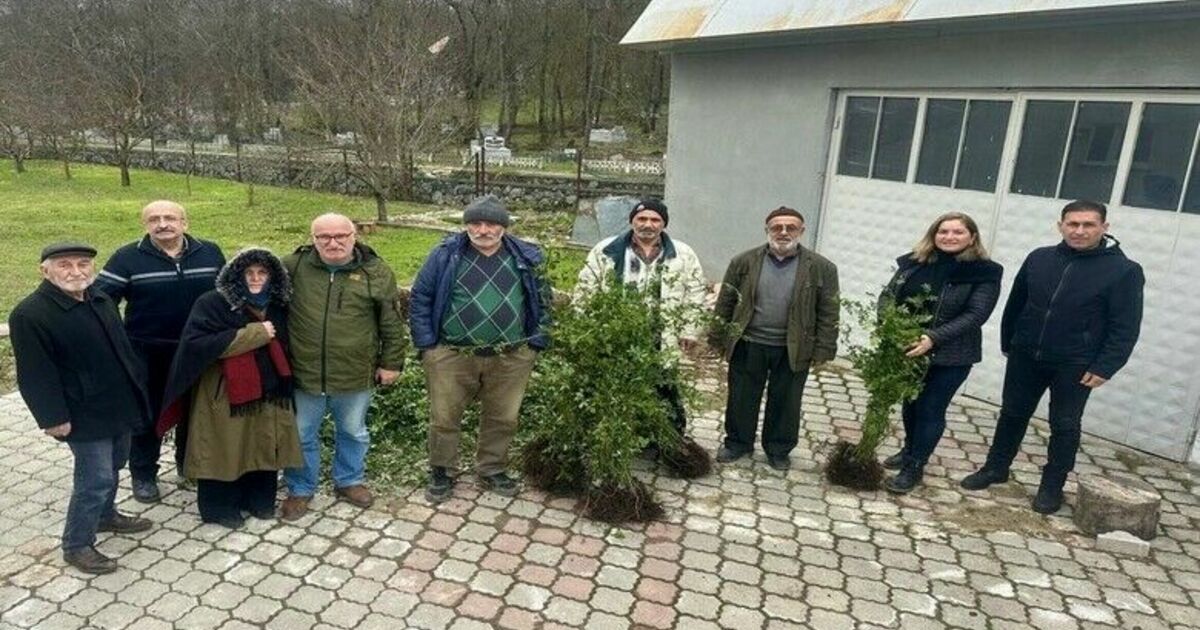 Samsun tarımında “Yeşil Yoldan Yeşil Bahçelere Projesi”

