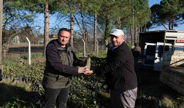 Bafra’da 9 bin 500 adet defne fidanı dağıtıldı
 - Samsun’un Bafra ilçesinde, 11 mahalle üreticisine 9 bin 00 adet defne fidanı dağıtımı yapıldı. Bafra Orman İşletme Müdürü Mustafa Bayraktar, Bafra’da defne sanayisini geliştirmek için çalıştıklarını, defne ile 1 dönümlük araziden yıllık 20 bin TL gelir elde edildiğini söyledi.