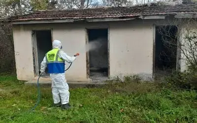 Bafra’da Kahverengi Kokarca İle Mücadele Kesintisiz Devam Ediyor