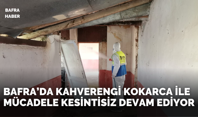 Bafra’da Kahverengi Kokarca İleMücadele Kesintisiz Devam Ediyor