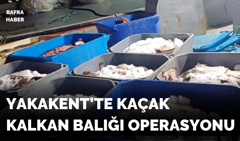 Kaçak kalkan balığı avcılığına operasyon: 3bin 620 kilo kalkan balığı ele geçirildi