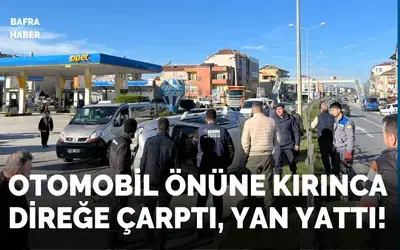Bafra'da Trafik Kazası: Otomobil Yan Yattı, Sürü Yara Almadan Kurtuldu