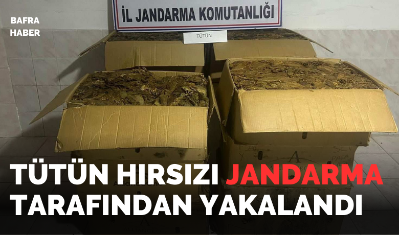 Tütün hırsızı jandarma tarafından yakalandı