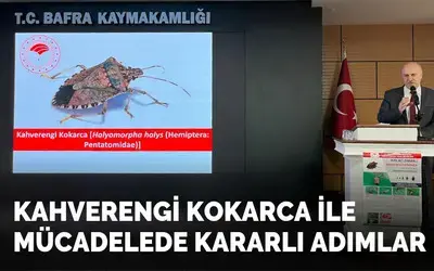 Kahverengi Kokarca İle Mücadelede Kararlı Adımlar