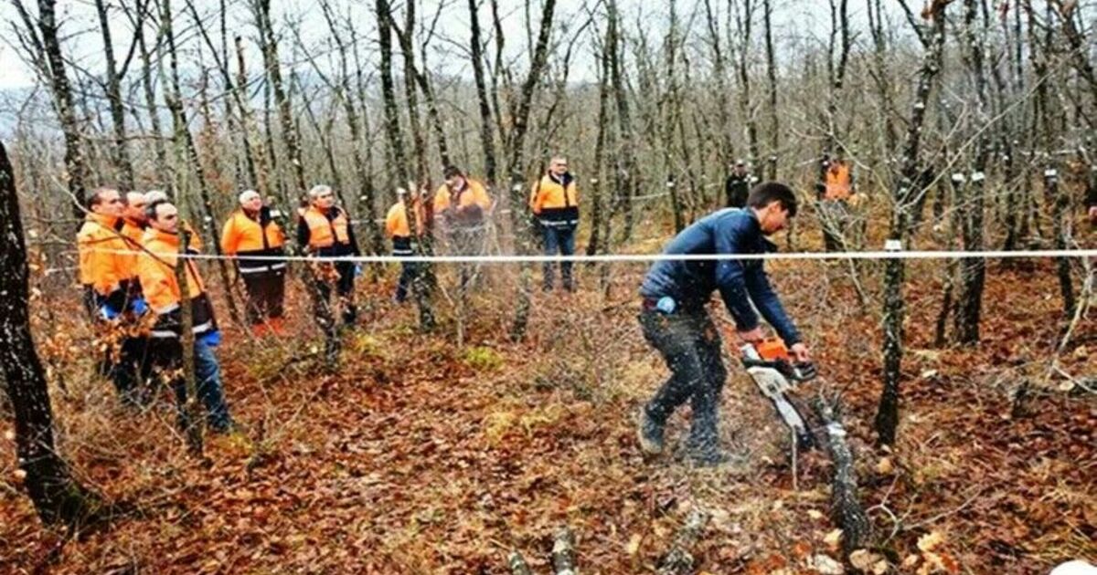 Orman köylüsü endüstriyel odundan 698 milyon TL kazandı
