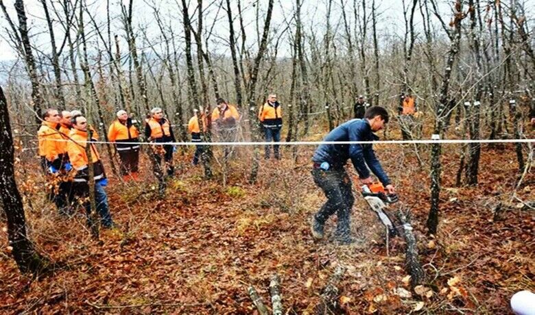 Orman köylüsü endüstriyel odundan698 milyon TL kazandı - Samsun’da orman köylüleri, 523 bin 13 metreküp endüstriyel odun üretimi ile toplamda 698 milyon TL’den fazla gelir elde etti.