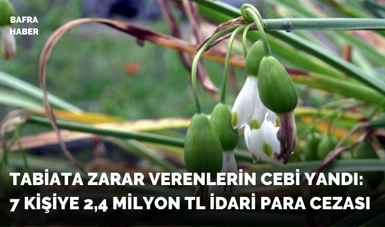Tabiata zarar verenlerin cebi yandı: 7kişiye 2,4 milyon TL idari para cezası
