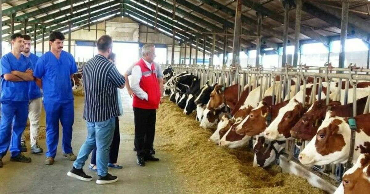 Sağlam: “Hayvancılık sektörüne bir yılda 57 milyon 289 bin TL destek”