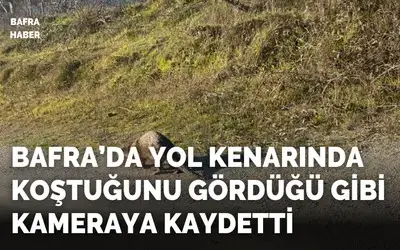 Bafra’da Yol Kenarında Koştuğunu Gördüğü Gibi Kameraya Kaydetti!