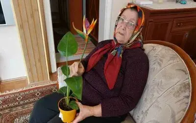 ’Canlı’ diye aldığı çiçek ‘plastik’ çıkınca BİM’i savcılığa şikayet etti
