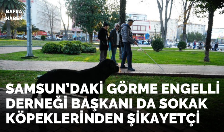 Görme engellilerin kabusu: Scooterlar,sokak köpekleri, kaldırım işgalleri