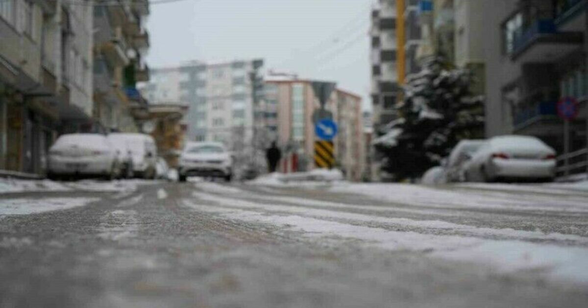 Samsun’da hayat dondu

