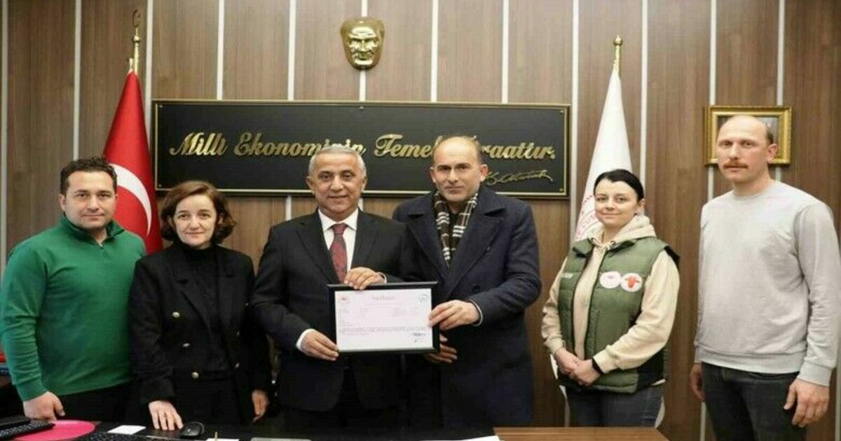 Samsun’daki ’hastalıktan ari işletme’ sayısı 8’e yükseldi
