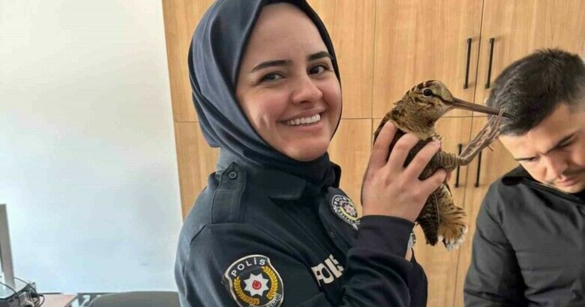 Yaralı orman çulluğuna polis şefkati
