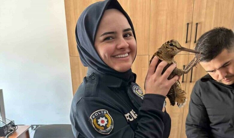 Yaralı orman çulluğuna polis şefkati
 - Samsun’da polis ekipleri yaralı halde buldukları orman çulluğunu Doğa Koruma ve Milli Parklar Şefliğine teslim etti.