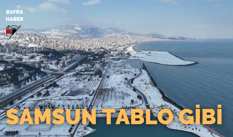 Samsun tablo gibi