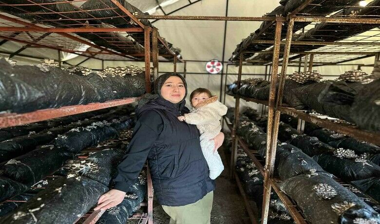 4 çocuk annesinin azmi: Yıllık35 ton mantar üretiyor, talepleri karşılayamıyor - Samsun’da yaşayan 4 çocuk annesi bir kadın, yıllar önce bir bodrum katında başladığı istiridye mantarı üretim işinde şimdi talepleri yetişemiyor. Kurduğu 4 çadırla yıllık 35 ton mantar üreten kadın çiftçi, azmiyle ve başarısıyla örnek oluyor.