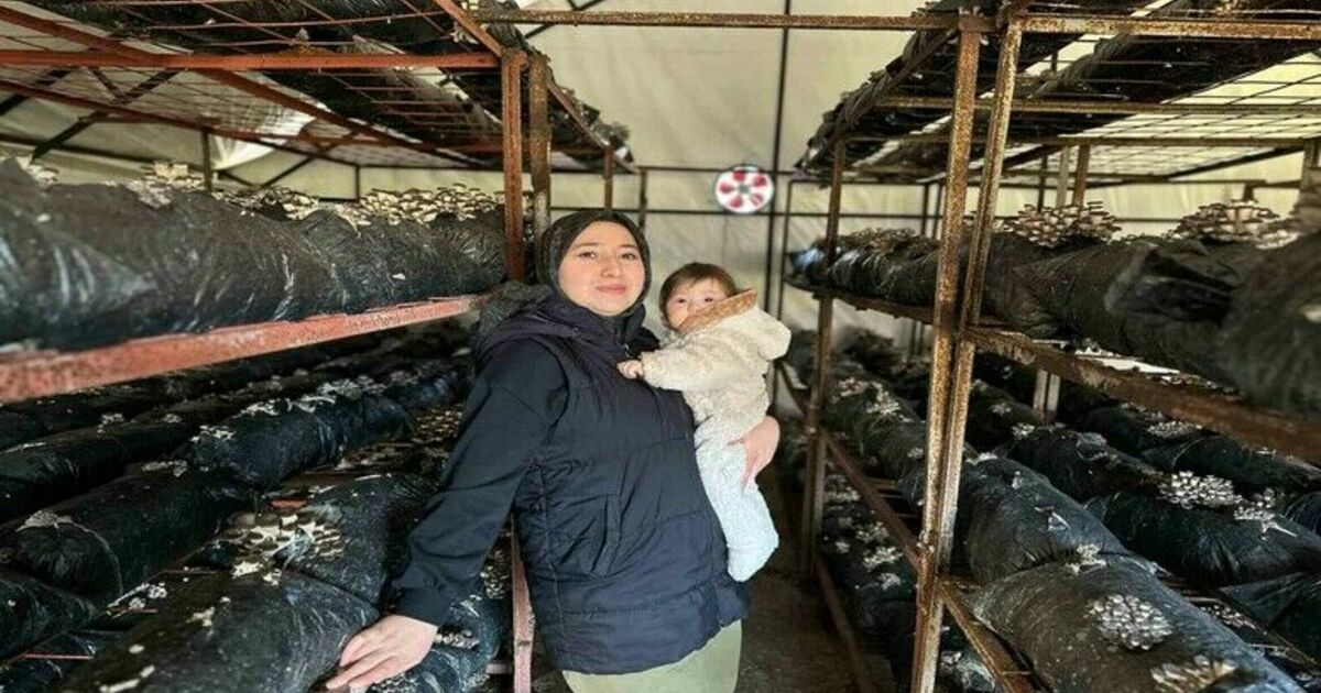 4 çocuk annesinin azmi: Yıllık 35 ton mantar üretiyor, talepleri karşılayamıyor
