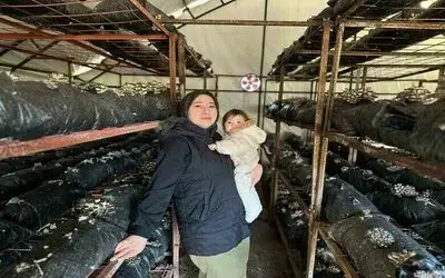 4 çocuk annesinin azmi: Yıllık 35 ton mantar üretiyor, talepleri karşılayamıyor
