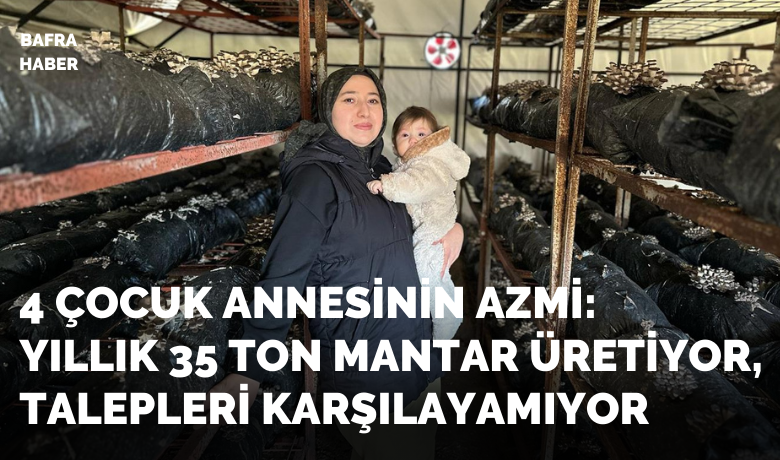 4 çocuk annesinin azmi: Yıllık35 ton mantar üretiyor, talepleri karşılayamıyor