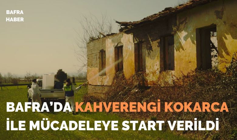 Bafra’da kahverengi kokarcaile mücadeleye start verildi