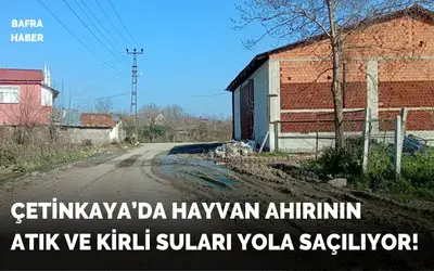 Çetinkaya’da Hayvan Ahırının Atıkları Yola Saçılıyor!