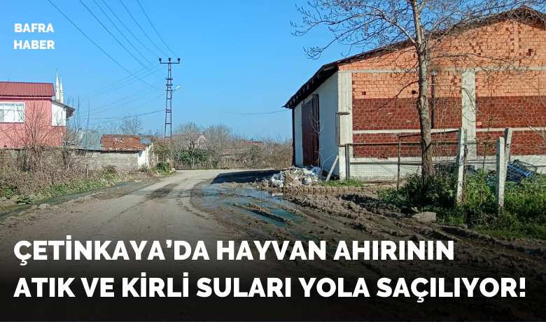 Çetinkaya’da Hayvan Ahırının Atıkları Yola Saçılıyor!
