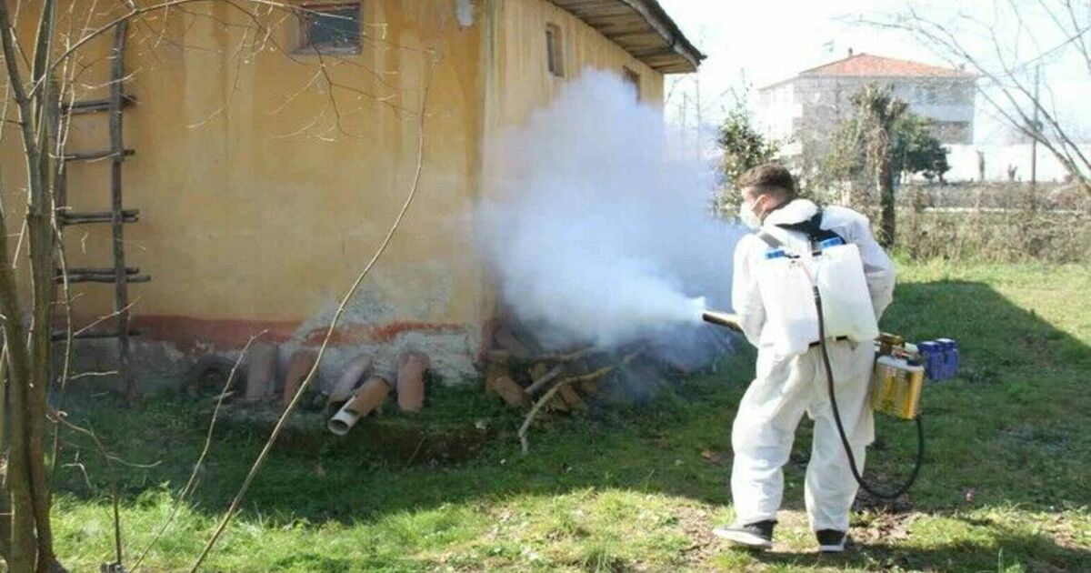 Çarşamba’da mahalleler ilaçlanıyor
