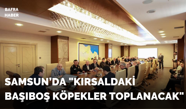 İl Hayvanları Koruma KuruluToplantısı: "Kırsaldaki başıboş köpekler toplanacak"
