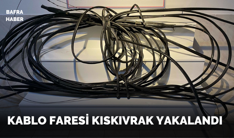 Jandarma kablo hırsızını suçüstü yakaladı