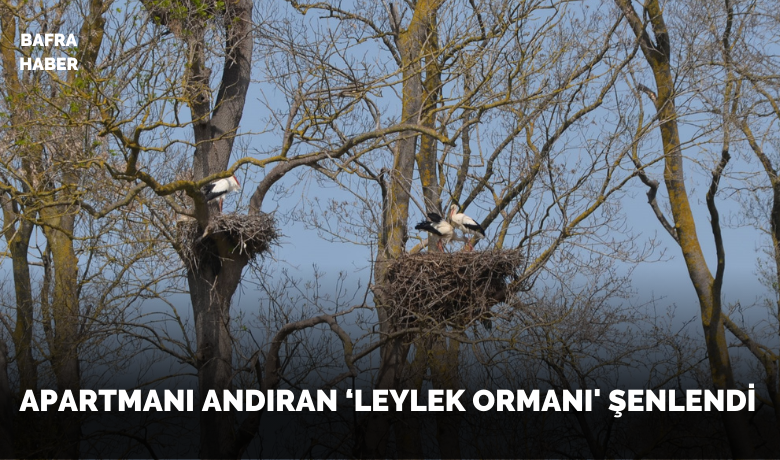 Apartmanı andıran ‘Leylek Ormanı’ şenlendi