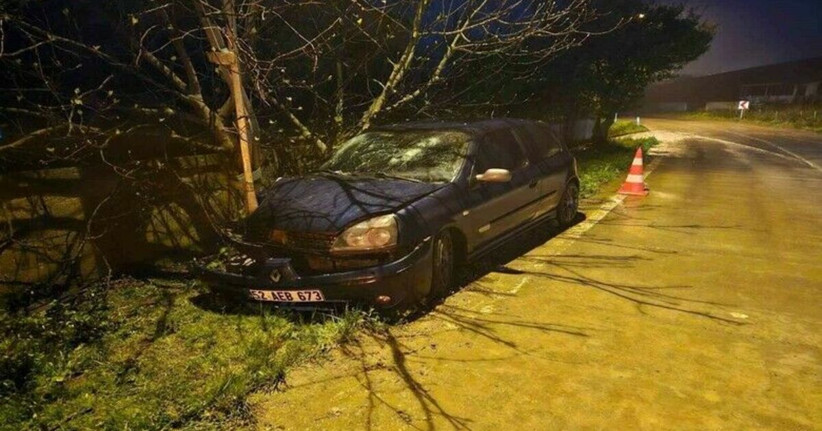 Otomobil elektrik direğine çarptı: 3 yaralı