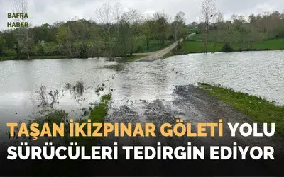 Taşan İkizpınar Göleti Yolu Sürücüleri Tedirgin Ediyor