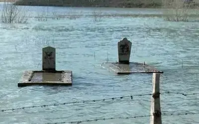 Samsun ilginç görüntüler: Su altında kalmış mezarlar, binlerce balık yavrusu
