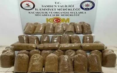 Samsun’da 240 kilo kaçak tütün ele geçirildi
