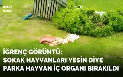 Parka Hayvan İç Organı Bırakıldı