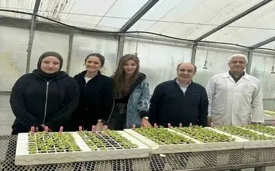 Dayanıklı marul yetiştirilmesi projesine destek
