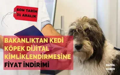 Bakanlıktan Kedi Köpek Dijital Kimliklendirmesine Fiyat İndirimi!