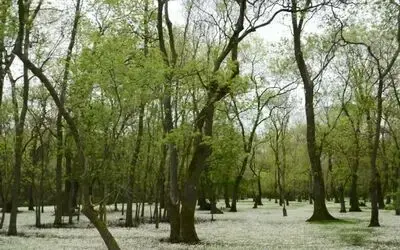 Samsun Kızılırmak Deltası: Karadeniz’in sessiz cenneti
