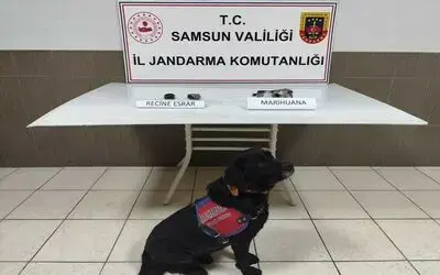 Samsun’da uyuşturucu operasyonu: 1 gözaltı
