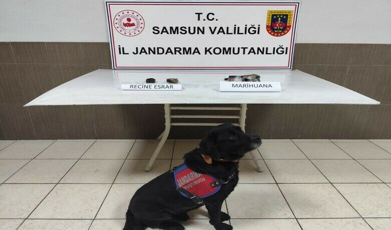 Samsun’da uyuşturucu operasyonu: 1 gözaltı
