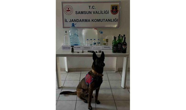 Samsun’da 65 litre etil alkol ele geçirildi
 - Samsun’da jandarma ekiplerince düzenlenen operasyonda 25 litre sahte içki ve 65 litre etil alkol maddesi ele geçirildi.