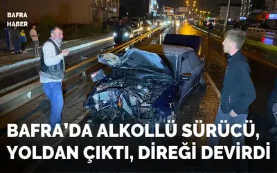Otomobil Yol Aydınlatma Lambasını Devirdi, Araç Alev Aldı
