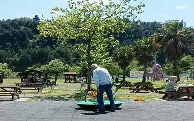 Köpeğin park keyfi görenlere tebessüm ettirdi
