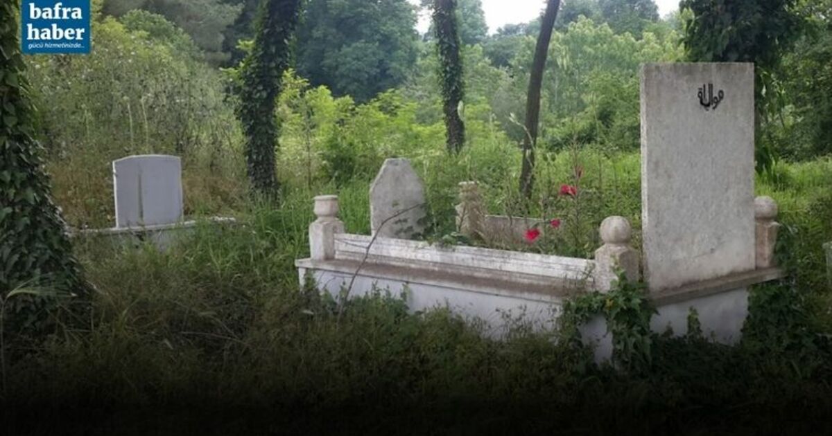 Turan Altunel Vefat Etti