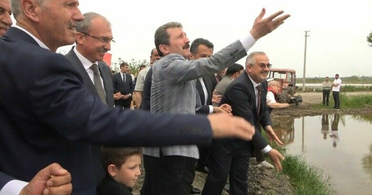 Türkiye’nin ikinci büyük çeltik üretim merkezi Bafra Ovası’nda "10. Çeltik Ekim Günü"