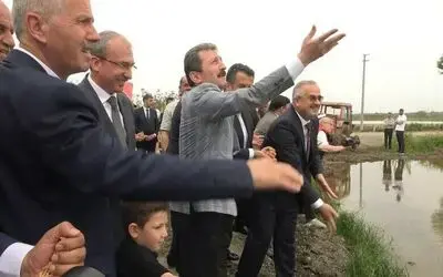 Türkiye’nin ikinci büyük çeltik üretim merkezi Bafra Ovası’nda "10. Çeltik Ekim Günü"