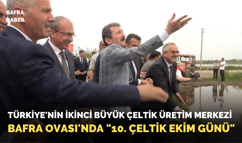Türkiye’nin ikinci büyük çeltik üretim merkeziBafra Ovası’nda "10. Çeltik Ekim Günü"